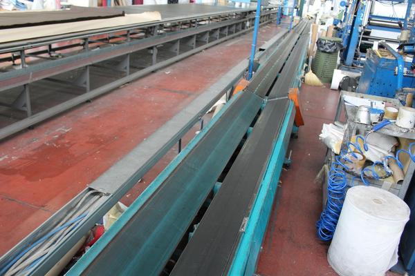 16#3821 Linea per la movimentazione e imballo di rotoli in vendita - foto 9