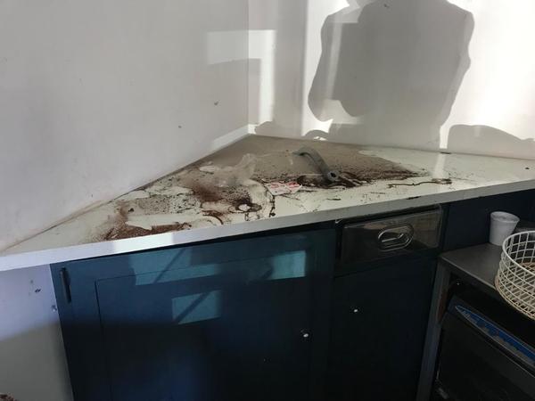 2#3825 Arredi e attrezzatura bar in vendita - foto 11