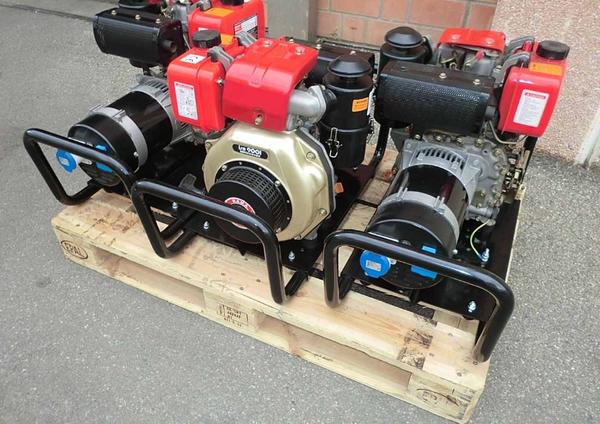 1#3841 Gruppi elettrogeni con motori diesel e avviamento a strappo in vendita - foto 1