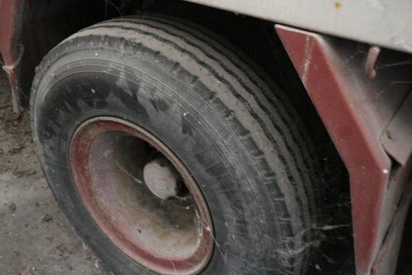 Rimorchio Bremssseil 1130/1340mm M8,Campana 23 / 26 MM - Lunghezza - Foto 3