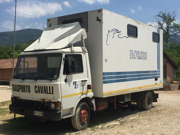 1#3848 Fiat van per trasporto animali vivi in vendita - foto 1