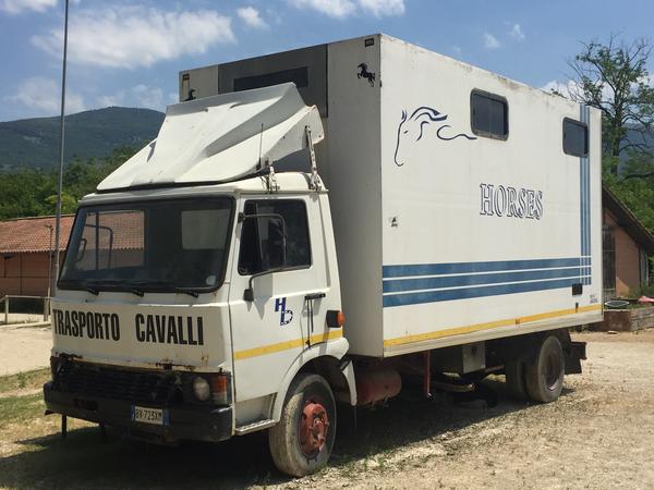 1#3848 Fiat van per trasporto animali vivi in vendita - foto 2