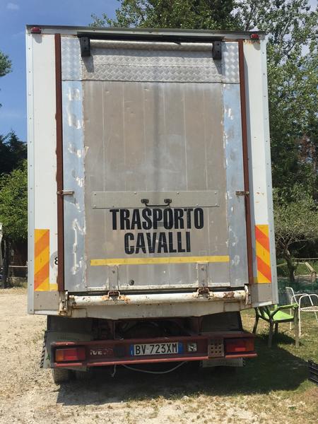 1#3848 Fiat van per trasporto animali vivi in vendita - foto 3