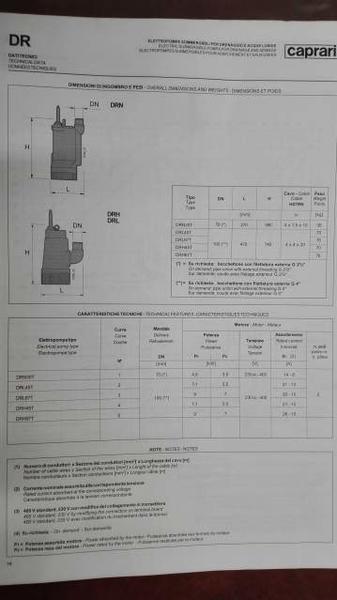 26#3861 Pompa Caprari DRL45T in vendita - foto 3