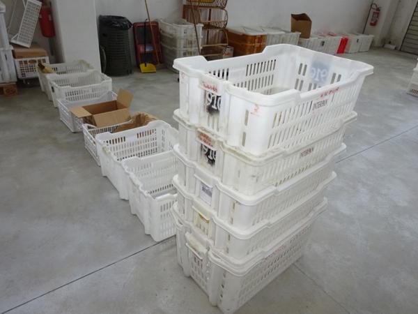 4#3874 Cesti in plastica in vendita - foto 3