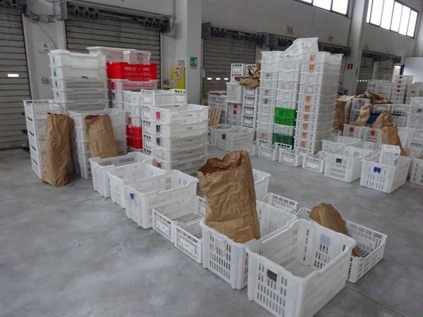 4#3874 Cesti in plastica in vendita - foto 4