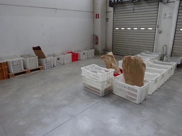 4#3874 Cesti in plastica in vendita - foto 5