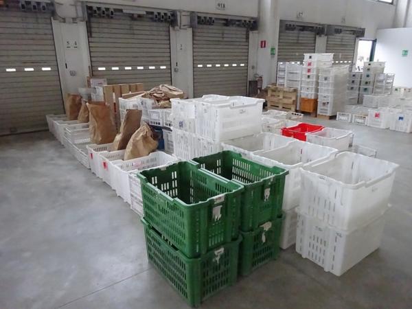 4#3874 Cesti in plastica in vendita - foto 6