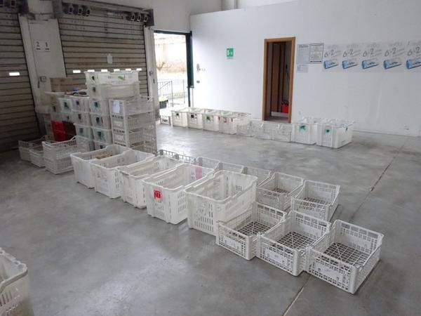 4#3874 Cesti in plastica in vendita - foto 8