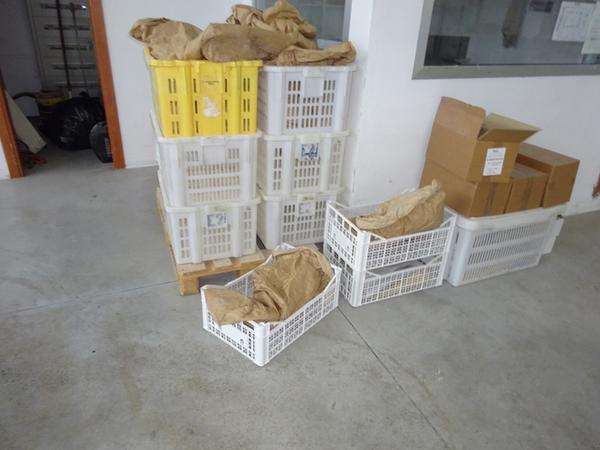 4#3874 Cesti in plastica in vendita - foto 9
