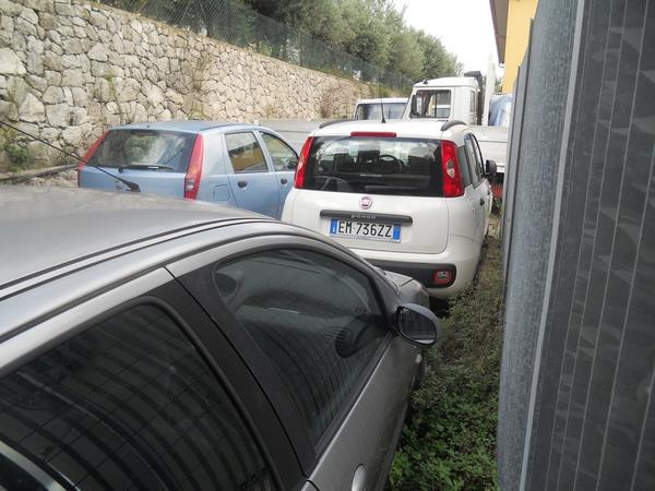 10#3897 Fiat Panda in vendita - foto 6