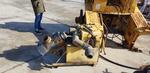 Immagine 8 - Pale gommate Hanomag e Bobcat - Lotto 3 (Asta 3901)