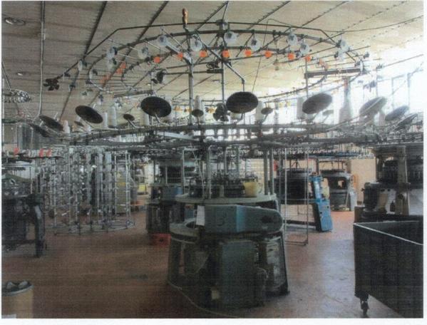1#3908 Macchine Pilotelli Mayer Orizio per la produzione di tessuti in vendita - foto 1