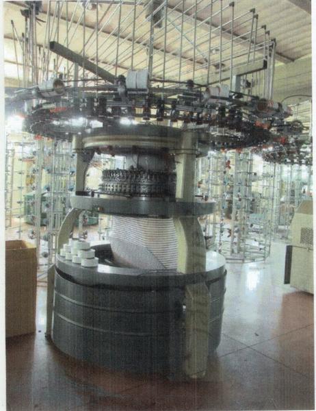 1#3908 Macchine Pilotelli Mayer Orizio per la produzione di tessuti in vendita - foto 6