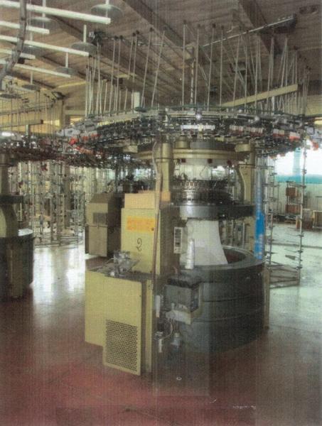 1#3908 Macchine Pilotelli Mayer Orizio per la produzione di tessuti in vendita - foto 7