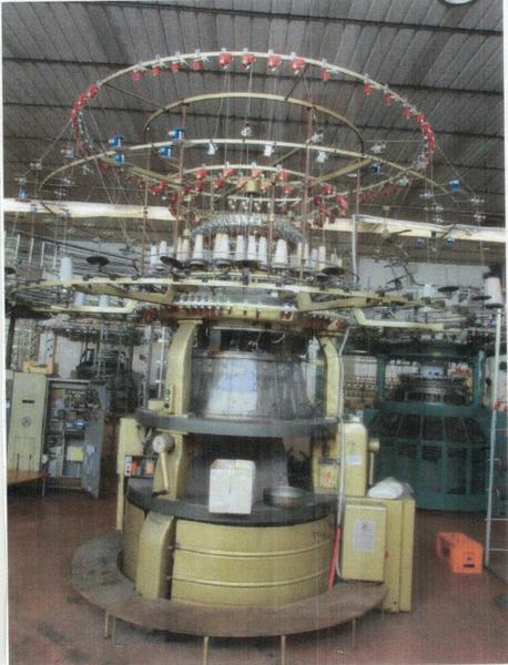 1#3908 Macchine Pilotelli Mayer Orizio per la produzione di tessuti in vendita - foto 11