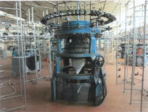 1#3908 Macchine Pilotelli Mayer Orizio per la produzione di tessuti in vendita - foto 18