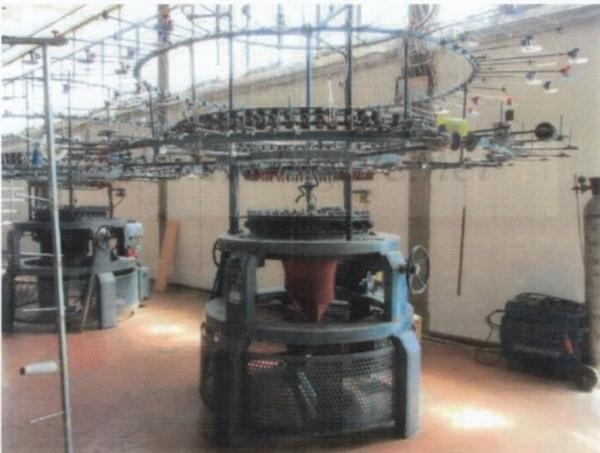 1#3908 Macchine Pilotelli Mayer Orizio per la produzione di tessuti in vendita - foto 19