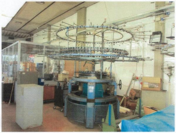 1#3908 Macchine Pilotelli Mayer Orizio per la produzione di tessuti in vendita - foto 23