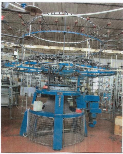 1#3908 Macchine Pilotelli Mayer Orizio per la produzione di tessuti in vendita - foto 25