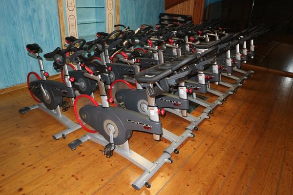 10#3914 Lifecycle GX Lifefitness in vendita - foto 1