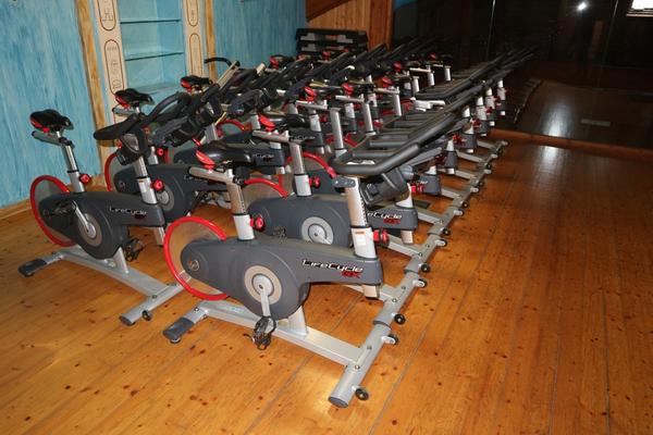 10#3914 Lifecycle GX Lifefitness in vendita - foto 2