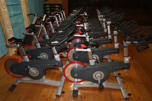 10#3914 Lifecycle GX Lifefitness in vendita - foto 3