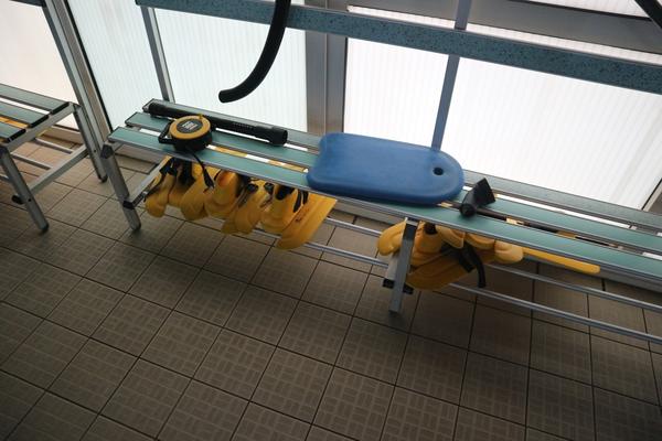 12#3914 Step Reebok e tappetini Technogym in vendita - foto 10