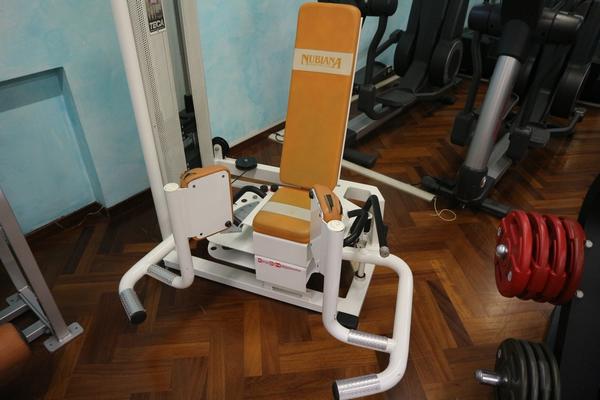 5#3914 Adductor e leg press Teca in vendita - foto 4