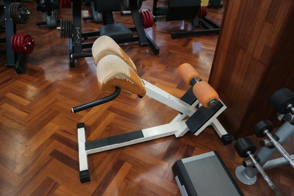 6#3914 Panche Technogym in vendita - foto 2