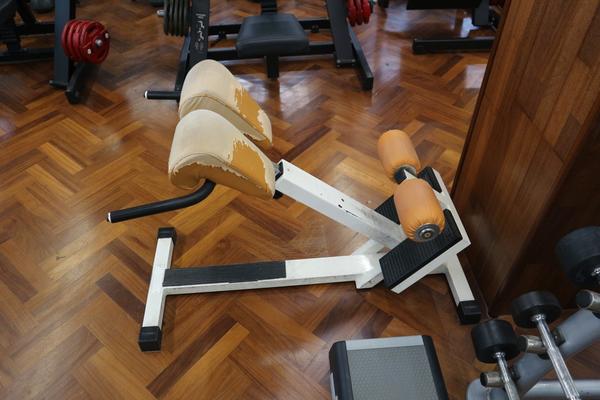 6#3914 Panche Technogym in vendita - foto 4