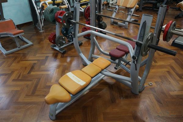 6#3914 Panche Technogym in vendita - foto 7