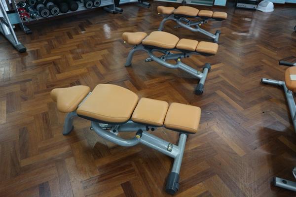 6#3914 Panche Technogym in vendita - foto 12