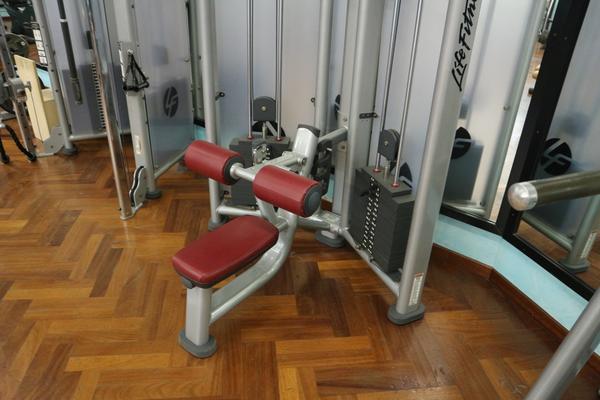 7#3914 Parallela 3 usi Lifefitness in vendita - foto 7