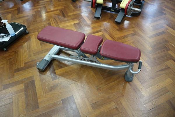 9#3914 Panche Lifefitness e press Trainer TotalGym in vendita - foto 2