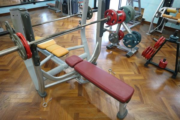 9#3914 Panche Lifefitness e press Trainer TotalGym in vendita - foto 3