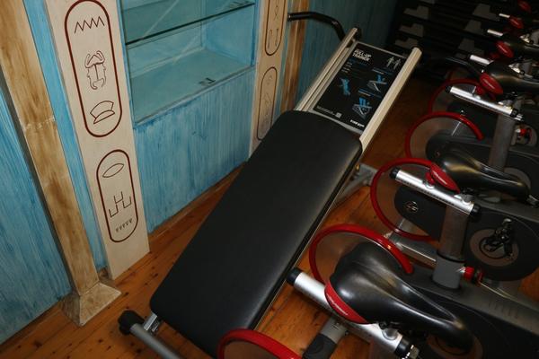 9#3914 Panche Lifefitness e press Trainer TotalGym in vendita - foto 10