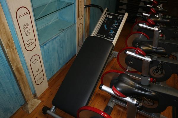 9#3914 Panche Lifefitness e press Trainer TotalGym in vendita - foto 11