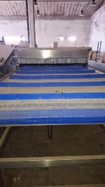 1#3915 Linea completa Tecninox blanching ortofrutta in vendita - foto 5
