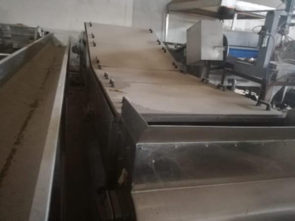 1#3915 Linea completa Tecninox blanching ortofrutta in vendita - foto 7