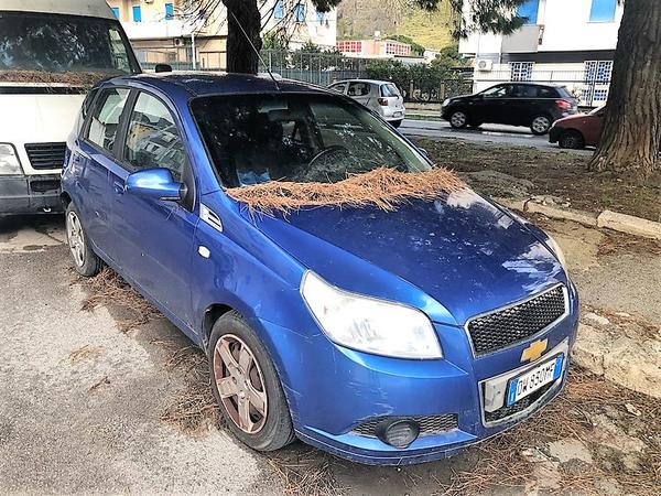 Automobili in vendita
