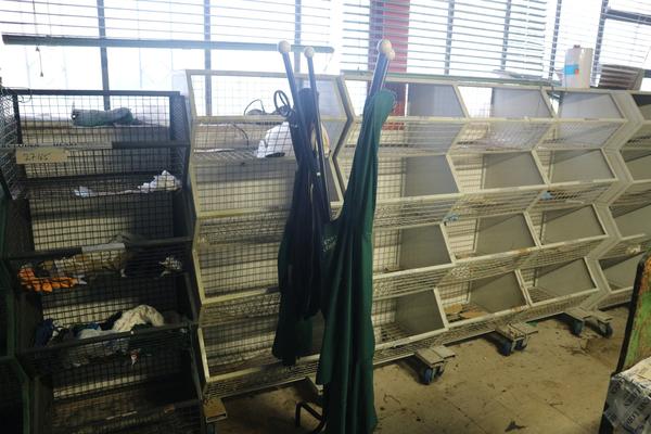 1#3931 Scaffalature e carrellini metallici in vendita - foto 34