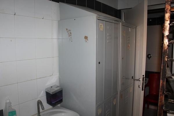 43#3961 Forno a legna in muratura con bruciatore e attrezzatura in vendita - foto 12