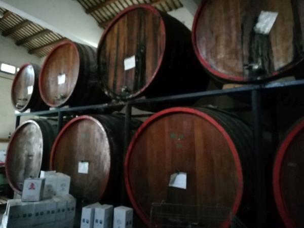 1#3966 Attrezzature e macchinari di cantina vitivinicola in vendita - foto 139