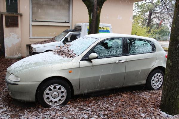 Automobili in vendita