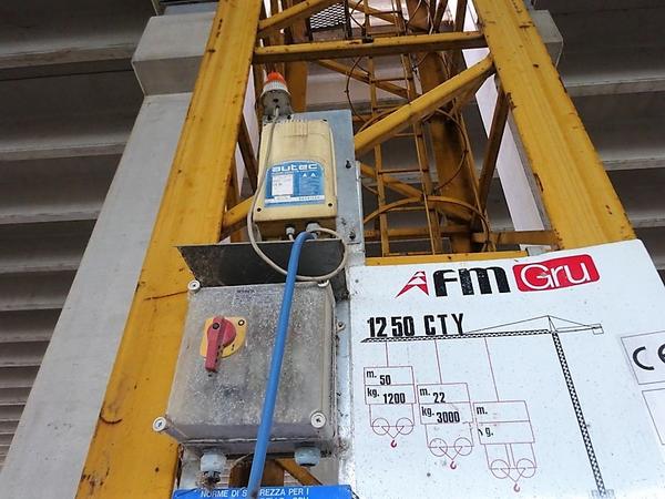 12#3997 Gru FM 1250 CTY in vendita - foto 11