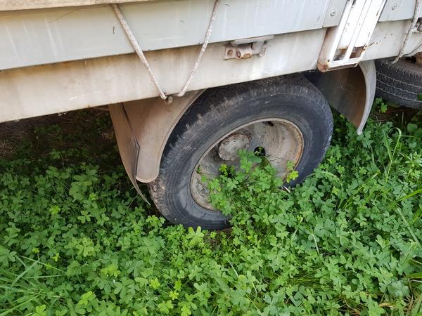 4#4002 Fiat Iveco Daily e Carrello Isotermico in vendita - foto 12