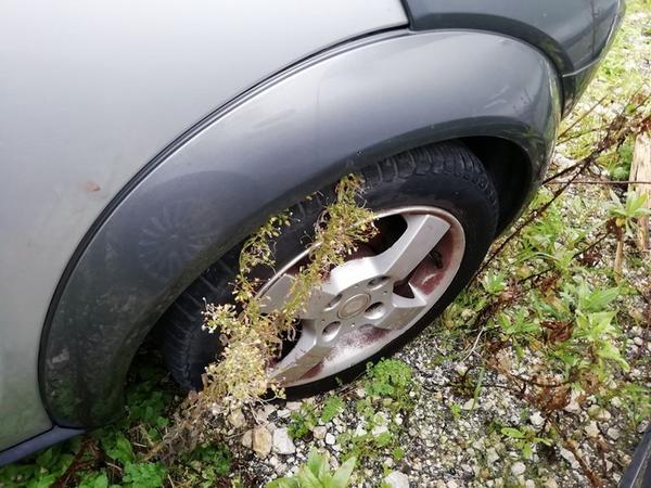 3#4003 Autovettura Smart Forfour in vendita - foto 9