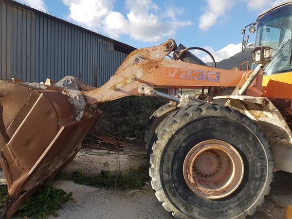 9#4036 Pala gommata Fiat Allis in vendita - foto 8