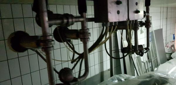 1#4066 Linea di farcitura pizze Alimec in vendita - foto 32